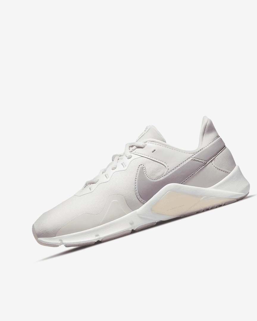 Nike Legend Essential 2 Premium Treningssko Dame Grå Hvite Metal | NO2623