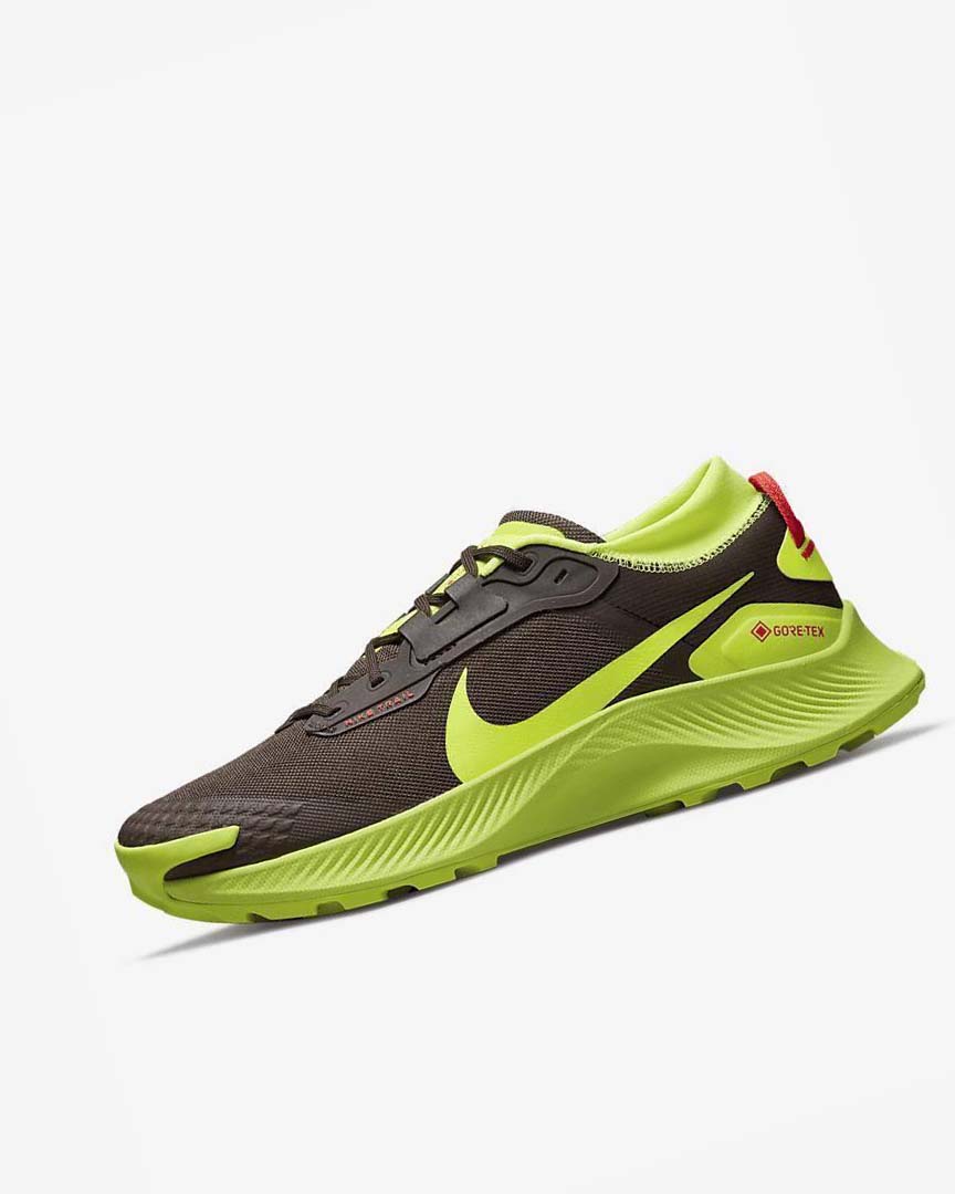 Nike Pegasus Trail 3 GORE-TEX Trail Løpesko Herre Mørke Sjokolade Lyse Rød | NO4959