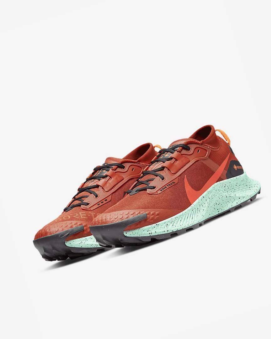 Nike Pegasus Trail 3 GORE-TEX Vanntette Trail Løpesko Herre Oransje Svarte Oransje Rød | NO2660