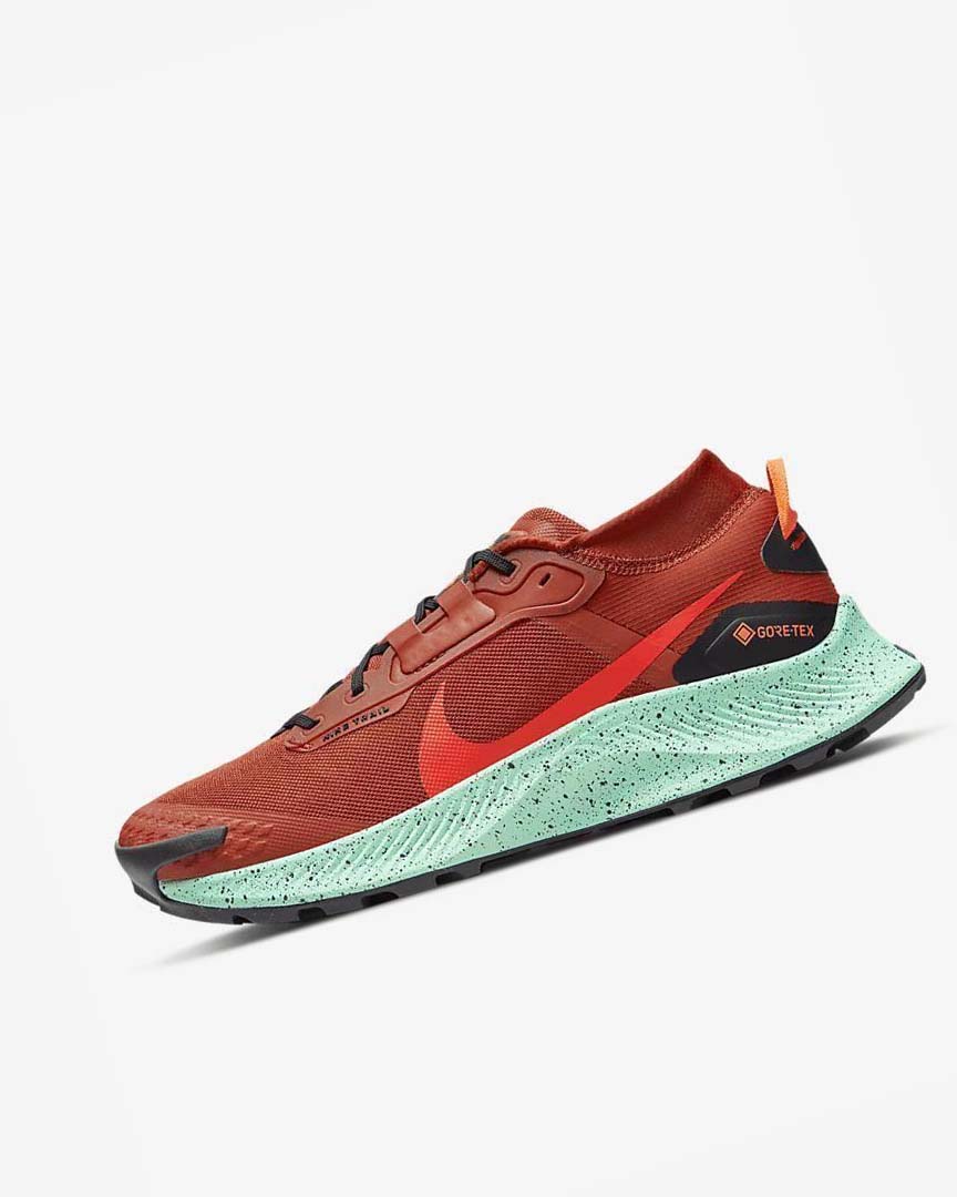 Nike Pegasus Trail 3 GORE-TEX Vanntette Trail Løpesko Herre Oransje Svarte Oransje Rød | NO2660