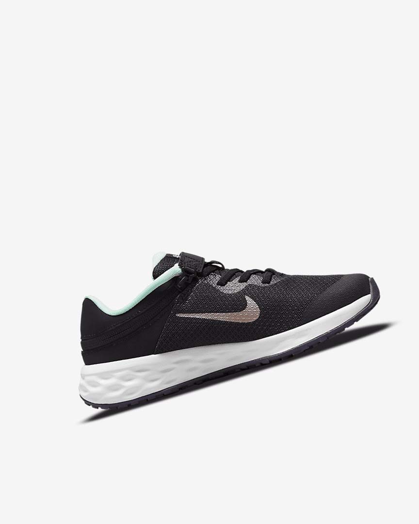 Nike Revolution 6 FlyEase Løpesko Vei Jente Svarte Mint Lilla Metal Rød Brune | NO2871