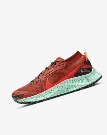 Nike Pegasus Trail 3 GORE-TEX Vanntette Trail Løpesko Herre Oransje Svarte Oransje Rød | NO2660